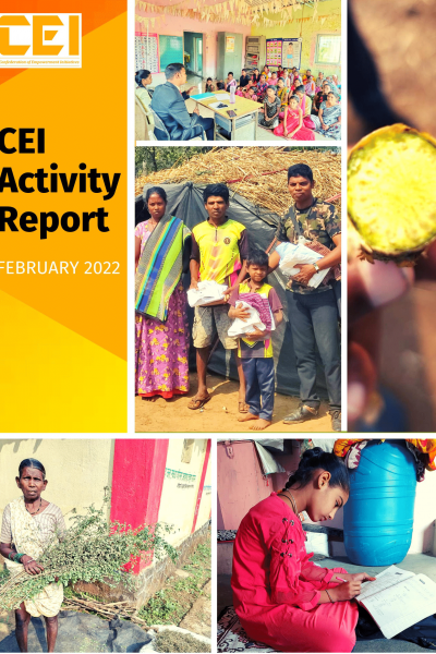 CEI Activity Report Feb 2022-1
